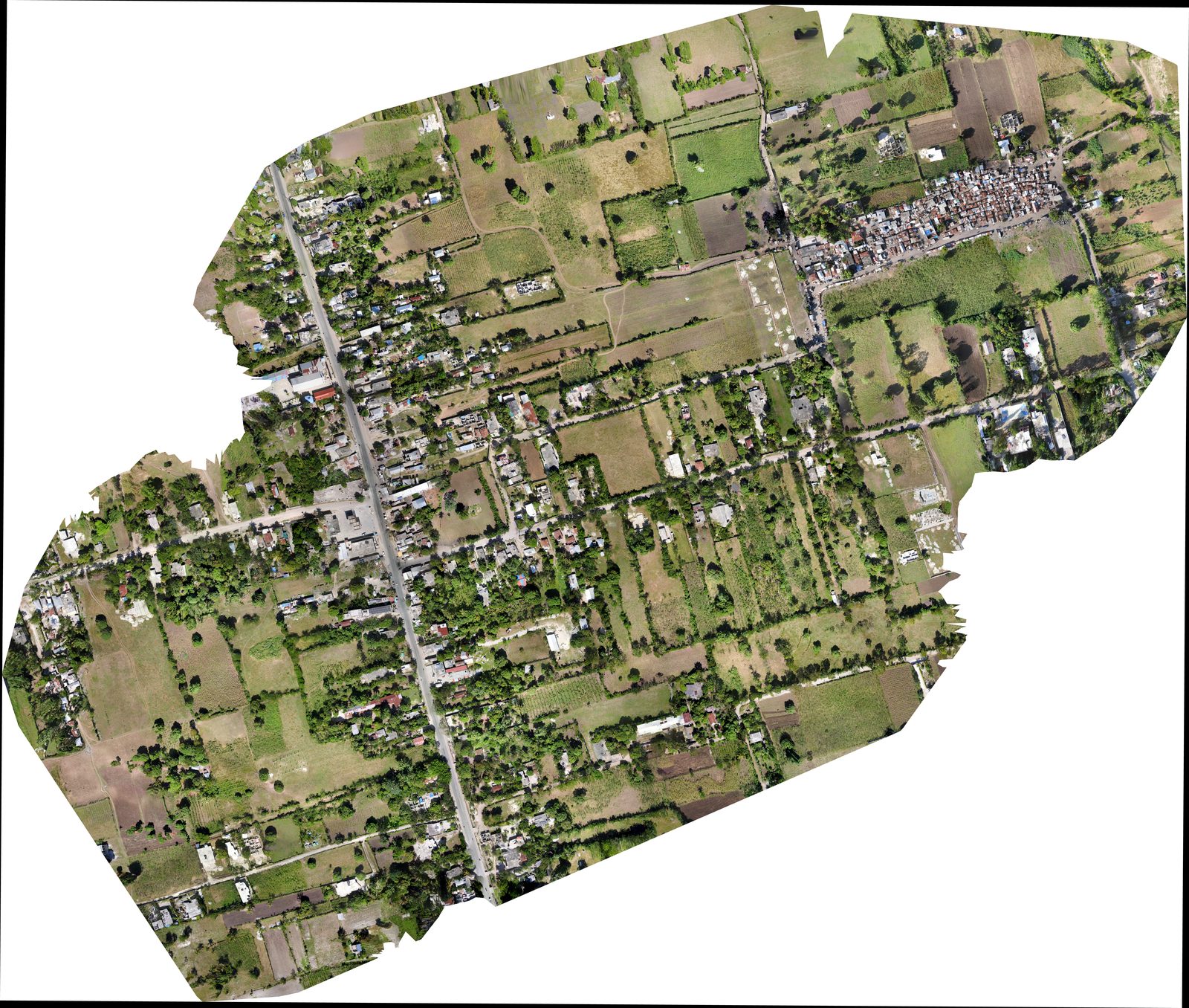 Orthophoto Les Cayes 2024